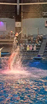 マクセル アクアパーク品川に投稿された画像（2022/11/8）