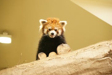 那須どうぶつ王国に投稿された画像（2022/11/8）