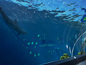 横浜・八景島シーパラダイスに投稿された画像（2022/11/8）