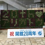 沖縄美ら海水族館に投稿された画像（2022/11/8）