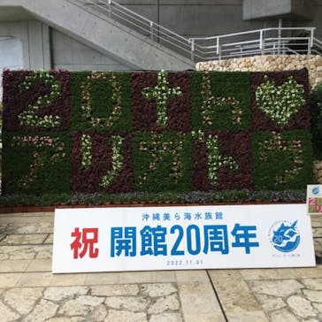 沖縄美ら海水族館に投稿された画像（2022/11/8）