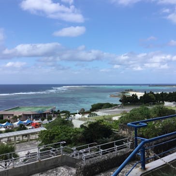 沖縄美ら海水族館に投稿された画像（2022/11/8）
