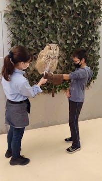 Moff animal cafe イオンモール幕張新都心店に投稿された画像（2022/11/8）