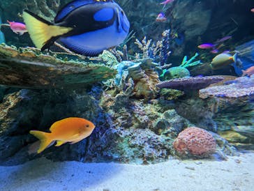 サンシャイン水族館に投稿された画像（2022/11/8）