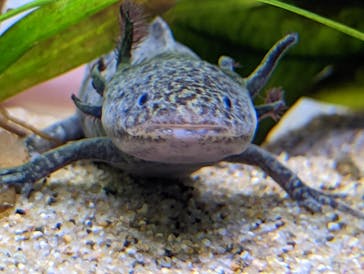 サンシャイン水族館に投稿された画像（2022/11/8）