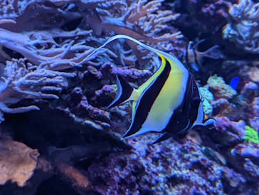 サンシャイン水族館に投稿された画像（2022/11/8）