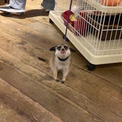 HARRY　原宿駅前店に投稿された画像（2022/11/8）