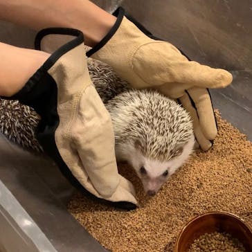 HARRY　原宿駅前店に投稿された画像（2022/11/8）