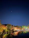 国営昭和記念公園 秋の夜散歩に投稿された画像（2022/11/8）
