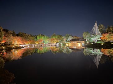 国営昭和記念公園 秋の夜散歩に投稿された画像（2022/11/8）