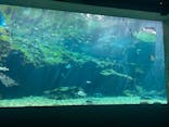 九十九島水族館海きららに投稿された画像（2022/11/8）