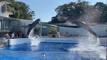 九十九島水族館海きららに投稿された画像（2022/11/8）