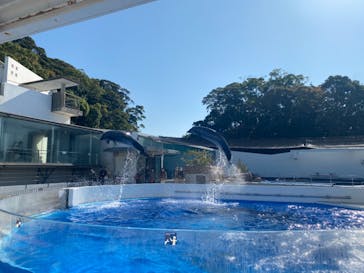 九十九島水族館海きららに投稿された画像（2022/11/8）