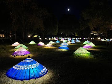 国営昭和記念公園 秋の夜散歩に投稿された画像（2022/11/8）