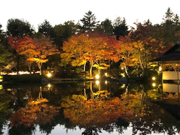 国営昭和記念公園 秋の夜散歩に投稿された画像（2022/11/8）