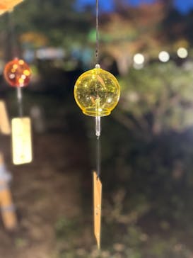 国営昭和記念公園 秋の夜散歩に投稿された画像（2022/11/8）