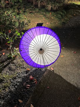 国営昭和記念公園 秋の夜散歩に投稿された画像（2022/11/8）