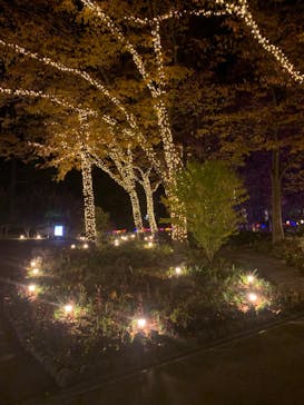 大阪府立花の文化園に投稿された画像（2022/11/8）