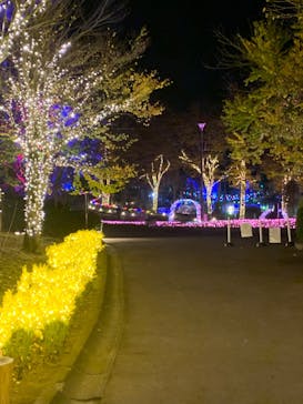 大阪府立花の文化園に投稿された画像（2022/11/8）