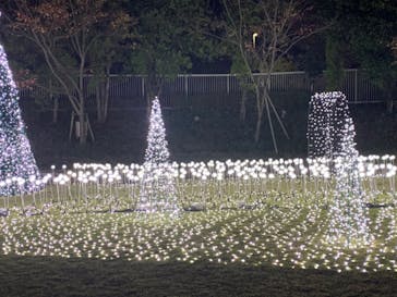 大阪府立花の文化園に投稿された画像（2022/11/8）