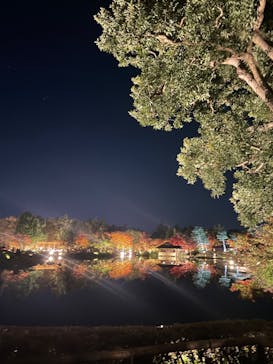 国営昭和記念公園 秋の夜散歩に投稿された画像（2022/11/8）