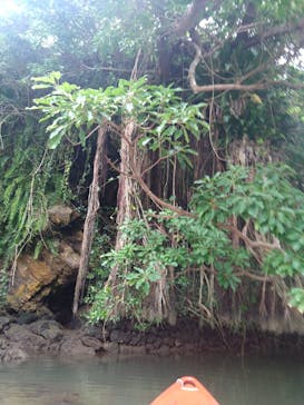 比謝川カヤックに投稿された画像（2022/11/8）