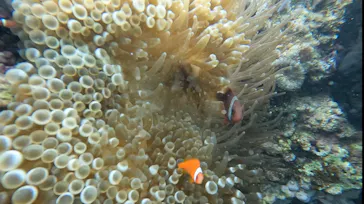 武藤潜水に投稿された画像（2022/11/8）