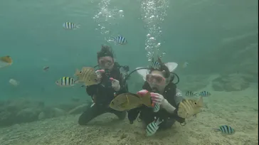 武藤潜水に投稿された画像（2022/11/8）