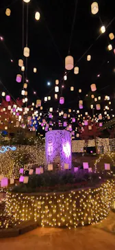 ひらかたパークに投稿された画像（2022/11/8）