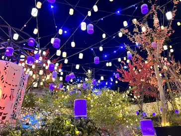 ひらかたパークに投稿された画像（2022/11/8）