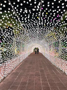 美らヤシパークオキナワ・東南植物楽園に投稿された画像（2022/11/8）