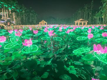 美らヤシパークオキナワ・東南植物楽園に投稿された画像（2022/11/8）