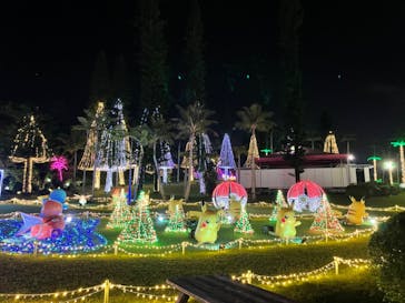 美らヤシパークオキナワ・東南植物楽園に投稿された画像（2022/11/8）