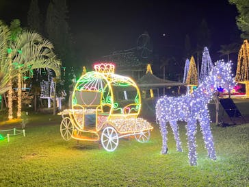 美らヤシパークオキナワ・東南植物楽園に投稿された画像（2022/11/8）