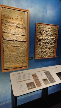 滋賀県立琵琶湖博物館に投稿された画像（2022/11/8）