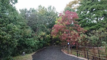 滋賀県立琵琶湖博物館に投稿された画像（2022/11/8）