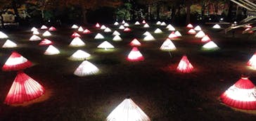 国営昭和記念公園 秋の夜散歩に投稿された画像（2022/11/8）