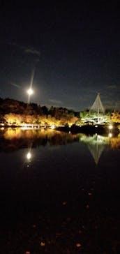 国営昭和記念公園 秋の夜散歩に投稿された画像（2022/11/8）