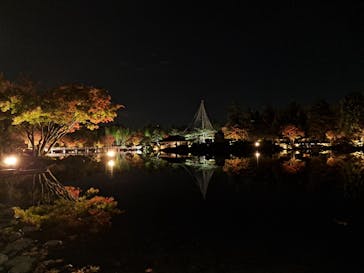 国営昭和記念公園 秋の夜散歩に投稿された画像（2022/11/8）