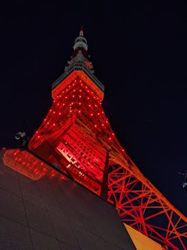 東京タワーに投稿された画像（2022/11/8）