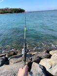 海釣り体験＠レンタル釣竿まるへい遊び隊に投稿された画像（2022/11/9）