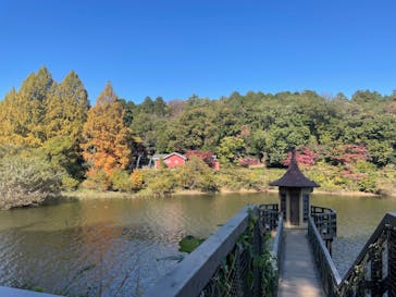 ムーミンバレーパークに投稿された画像（2022/11/8）