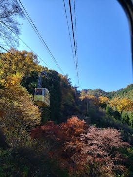 昇仙峡ロープウェイに投稿された画像（2022/11/8）