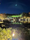 国営昭和記念公園 秋の夜散歩に投稿された画像（2022/11/9）