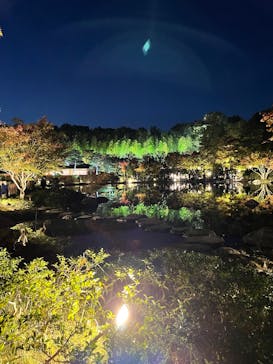 国営昭和記念公園 秋の夜散歩に投稿された画像（2022/11/8）