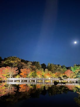 国営昭和記念公園 秋の夜散歩に投稿された画像（2022/11/8）
