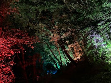 ムーミンバレーパークに投稿された画像（2022/11/9）