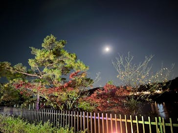 ムーミンバレーパークに投稿された画像（2022/11/9）