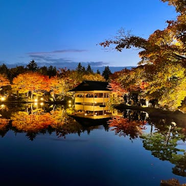 国営昭和記念公園 秋の夜散歩に投稿された画像（2022/11/9）