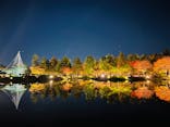 国営昭和記念公園 秋の夜散歩に投稿された画像（2022/11/9）